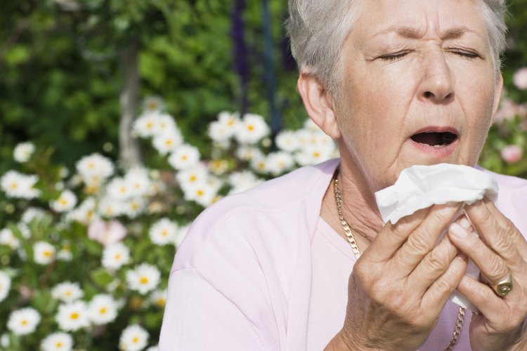 Cuando una alergia se muestra por primera vez en la edad adulta, los síntomas dependerán de la naturaleza de la alergia.