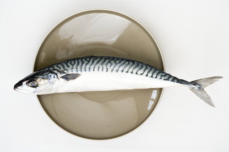 El pez rey proporciona proteínas magras y ácidos grasos omega-3.