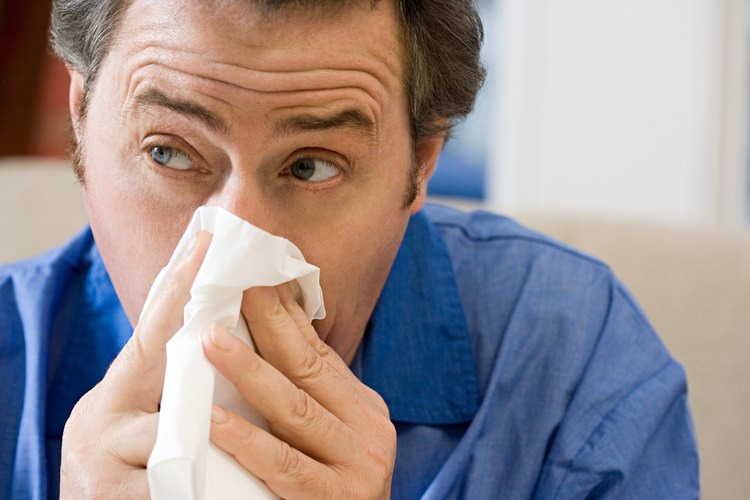 El herpes, los resfriados y la gripe son causados por virus diferentes.