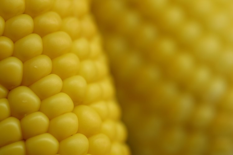 La cantidad de grasa en el maíz depende de cómo se prepare.