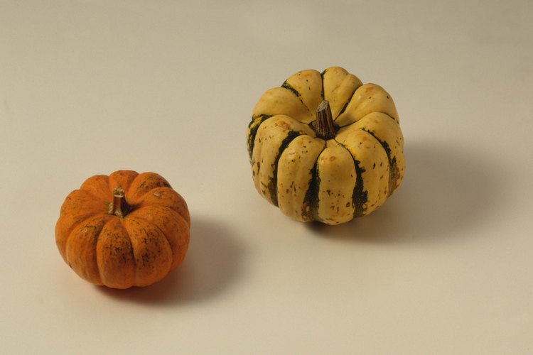 La calabaza dulce dumpling tiene un sabor inusualmente delicado.