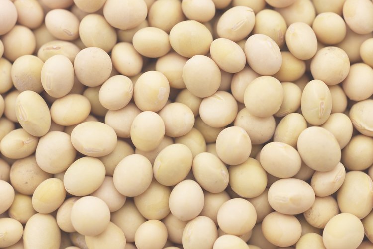 Evita los alimentos como los frijoles, que son altos en fibra.