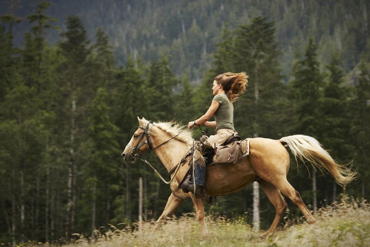 Toma las precauciones esenciales antes de salir con tu caballo.