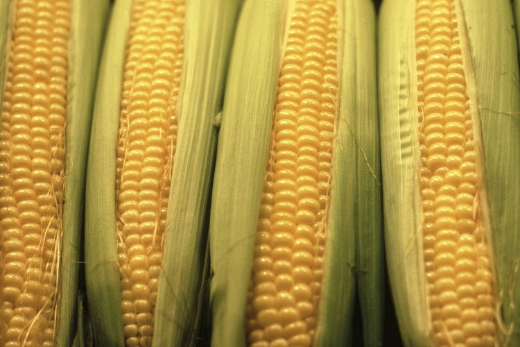 El maíz tiene más calorías que los vegetales sin almidón.