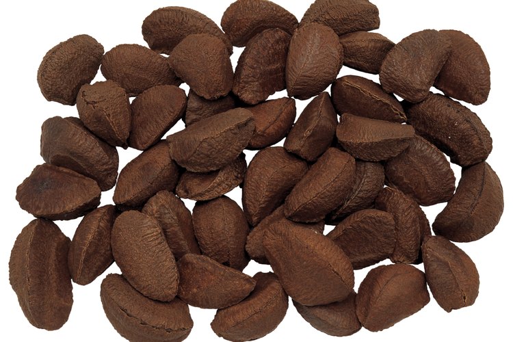 Las nueces de Brasil son la principal fuente de selenio.