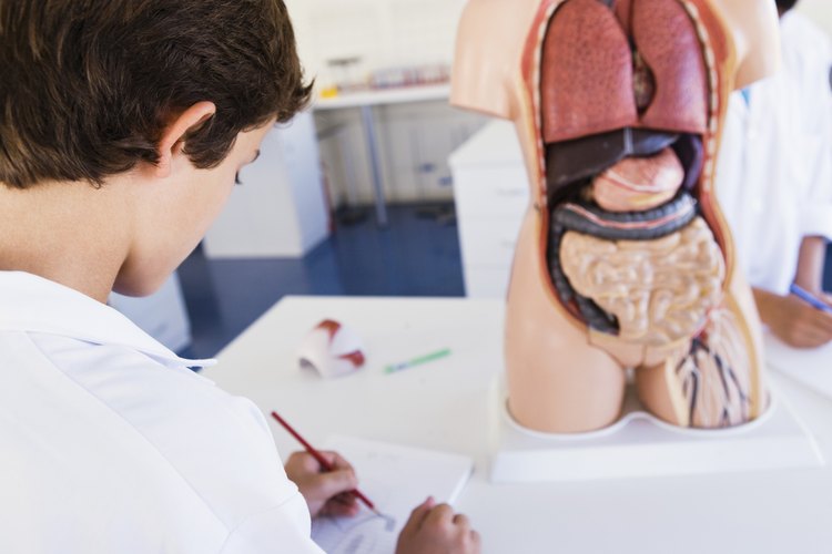 Visita a un médico para que te revise.