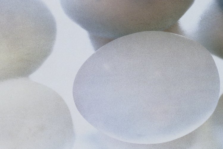 El valor nutricional de los huevos de pato.