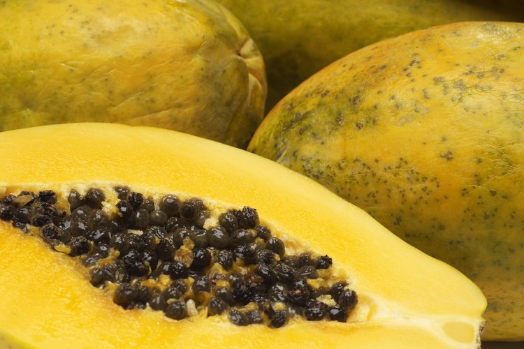 Papaya