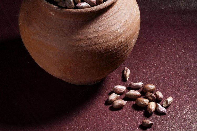 La mantequilla de maní contiene la misma cantidad de grasas tanto saturadas como insaturadas que el aceite de oliva.