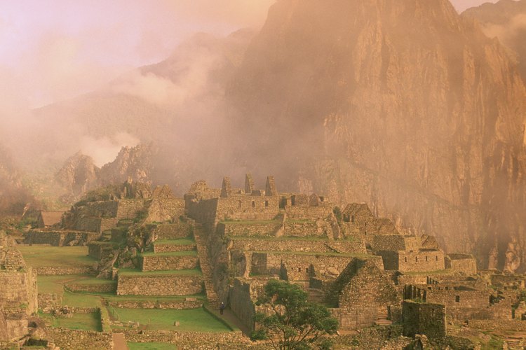 La maca es oriunda del Perú y crece en las altas elevaciones en la Cordillera de los Andes.