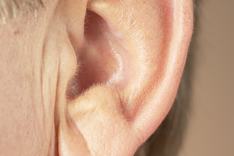 Las patologías del oído interno se manifiestan con dolor, zumbidos, oídos tapados y pérdida del equilibrio.