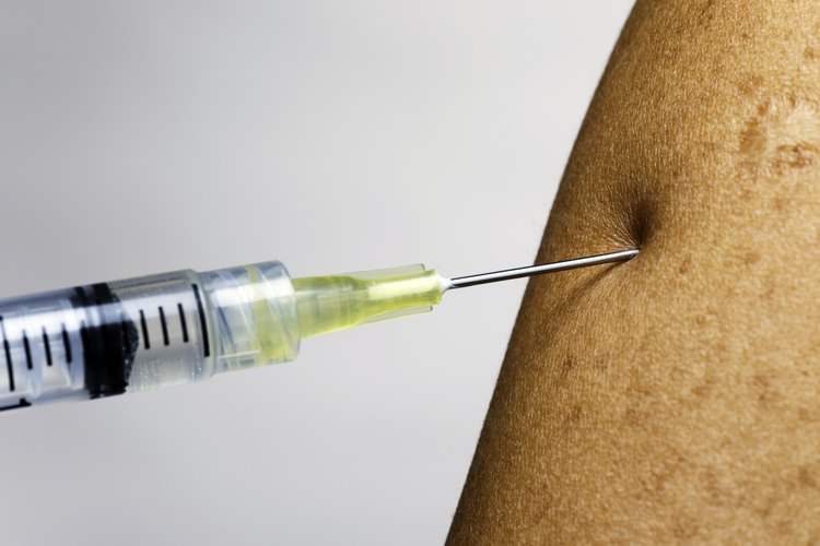 La vacunación antirrábica oportuna después de una mordedura, es vital.