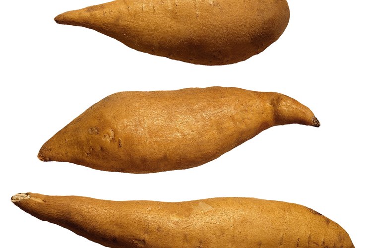 El extracto de batata salvaje se usó para crear las primeras pastillas anticonceptivas.