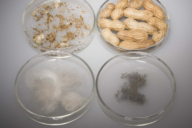 Las alergias a ciertos alimentos pueden provocar la liberación de histamina.