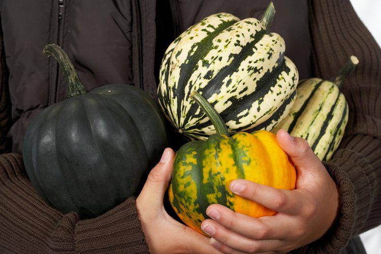 El contenido de azúcar en las calabazas incrementa a 4.9 gramos cuando están horneadas.