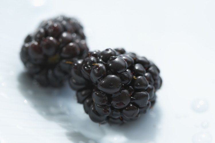 Las moras son una buena fuente de pectina que reduce el colesterol.