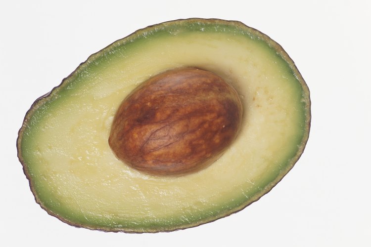 Palta.
