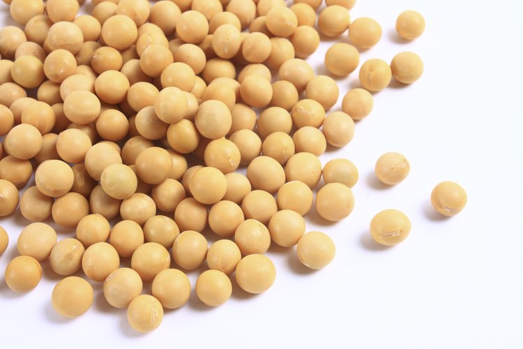 Soya,