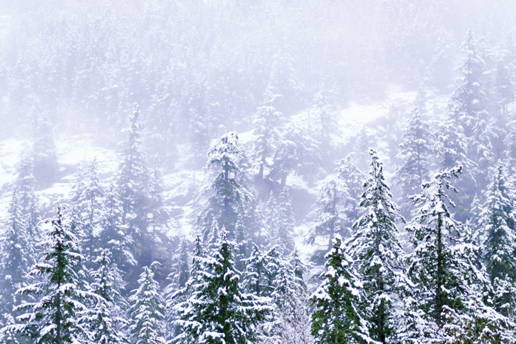Mantén la piel de tu infante libre de la dermatitis por viento este invierno.