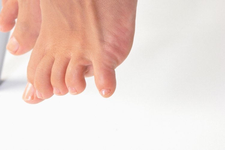 Ligamentos, tendones y cartílagos.