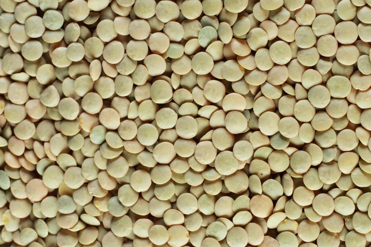 Las lentejas ofrecen un gran valor nutricional, incluyendo fibra y folato.