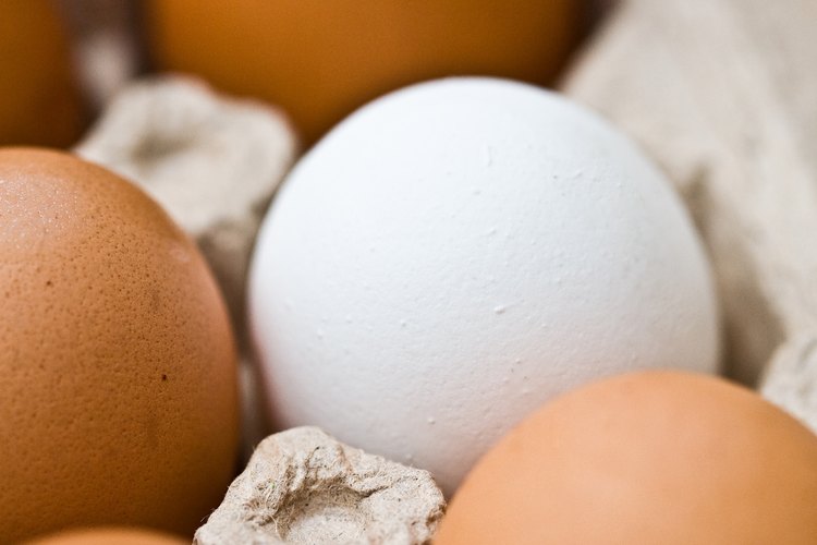 Una ingesta de proteínas de 100 g al día sería apropiada ya que los adultos consumen alrededor de 1.200 a 4.000 calorías al día.