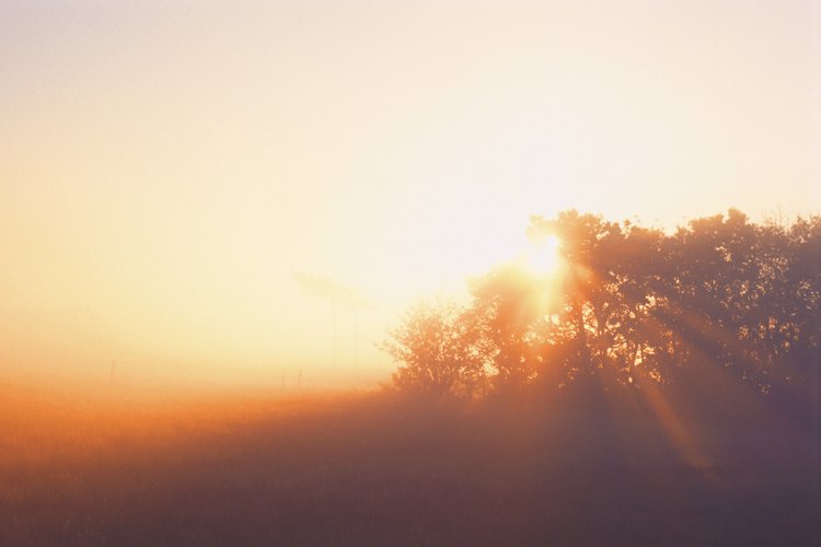 Puedes obtener la vitamina D de la luz solar y prescindir de los suplementos.