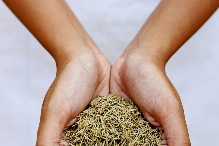 Las prácticas ayurvedas se han utilizado desde tiempos inmemoriales.