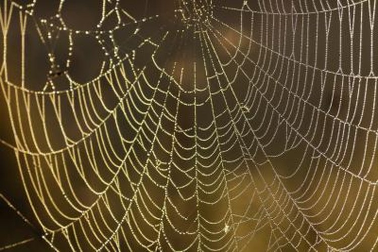 Spider Webs- 3 patterns —