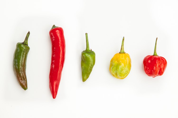 Pimientos picantes.