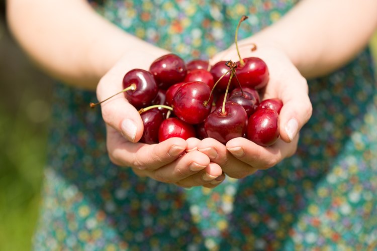 Las frutas ricas en fructosa son la sandía, manzanas y cerezas.