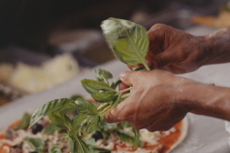 Usar hojas de albahaca frescas o secas en la cocina es seguro para las mujeres embarazadas.