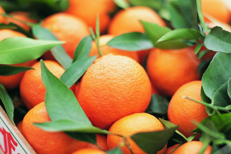 Las naranjas son una rica fuente de vitamina C.