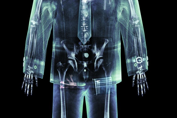 El esqueleto proporciona apoyo al cuerpo humano.