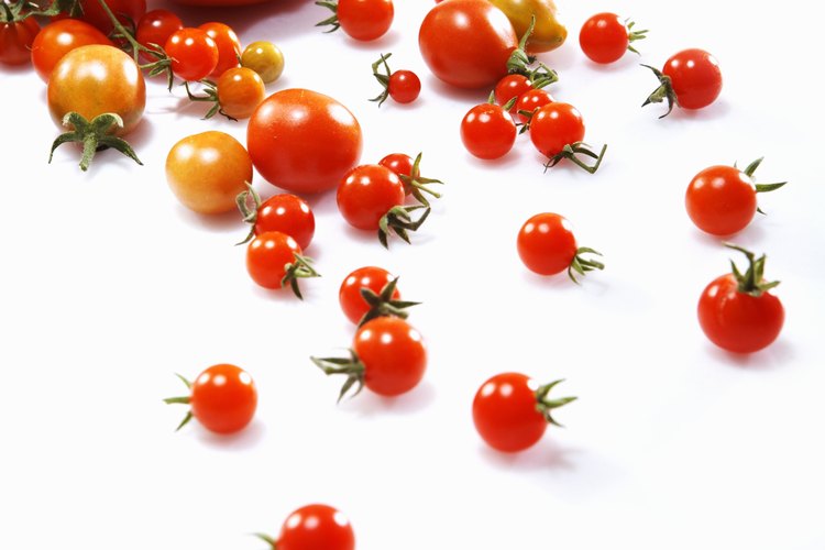 El color y el tamaño de un tomate influyen sobre la cantidad de calorías que posee.