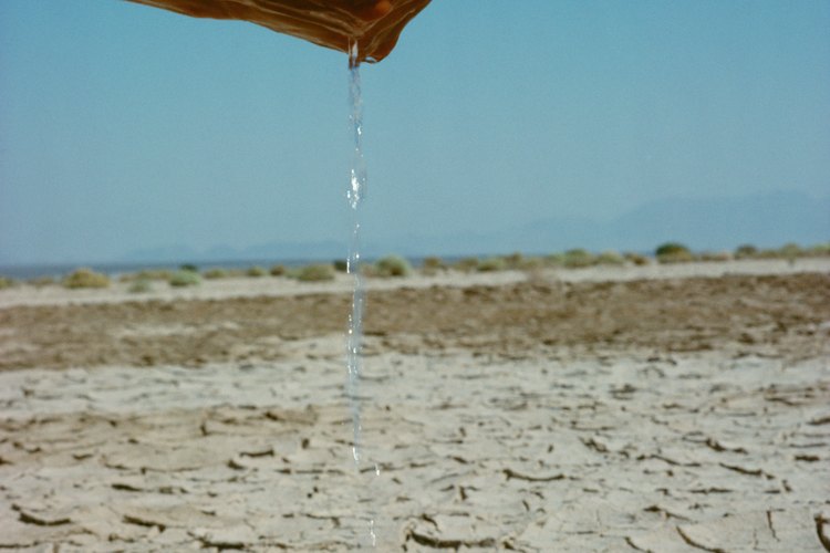 Los detergentes, jabones y productos químicos para el hogar como limpiadores con amoníaco, lejía y para baños irritan la piel.