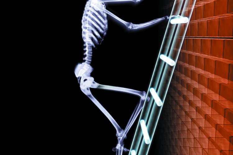 El sistema esquelético junto con el muscular permiten el movimiento del cuerpo.