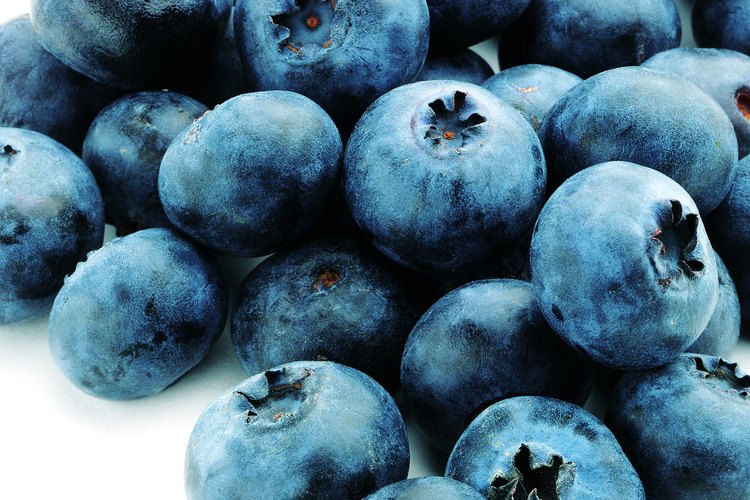 Tanto los arándanos, como las uvas contienen la vitamina K.