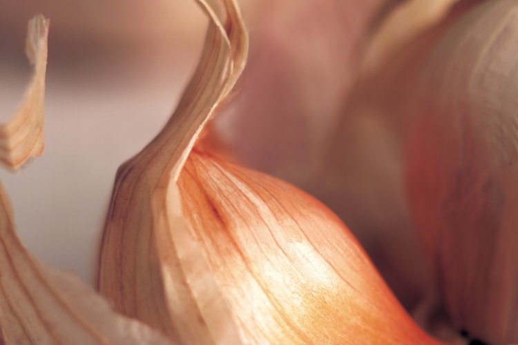 El ajo es una planta con un poderoso antioxidante.
