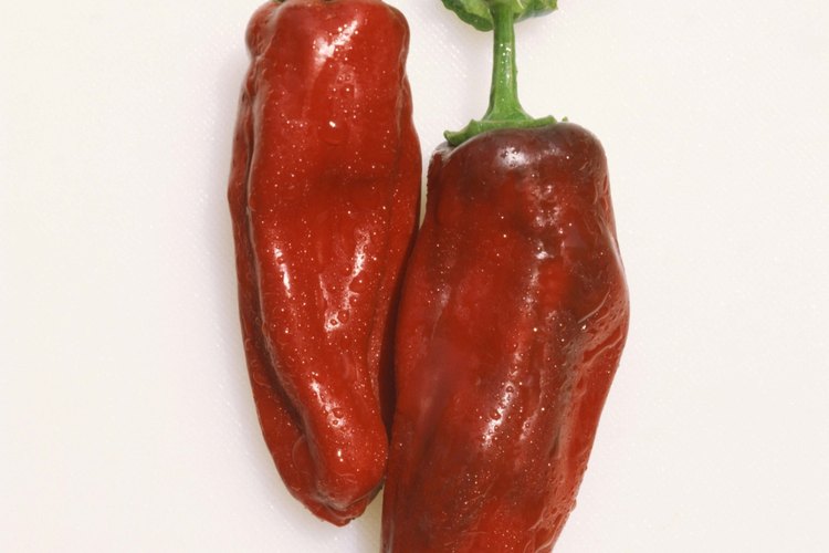 La capsaicina del pimiento chile adormece el dolor.