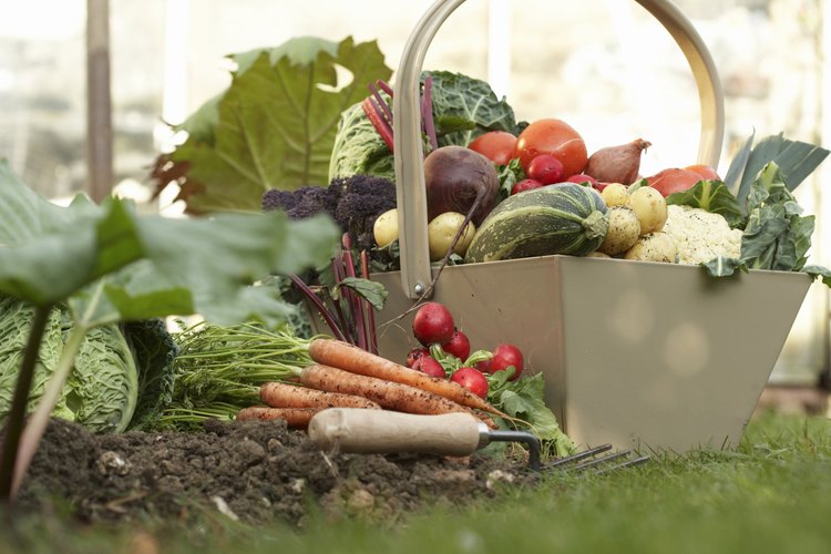 Puedes así poner en peligro el contenido nutricional de la verdura por privilegiar su gusto.