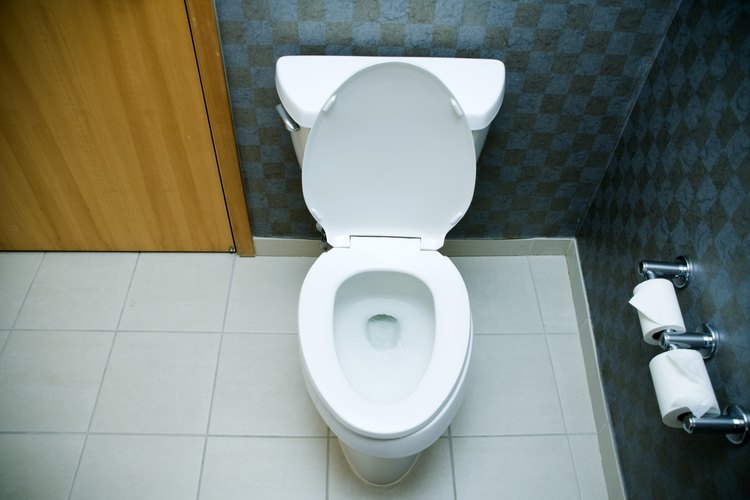 Efectos de eliminación de excrementos.
