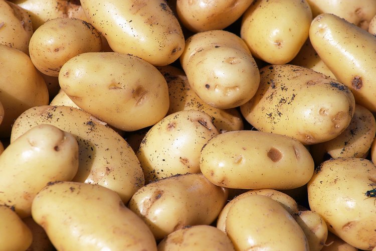 Las papas son una fuente rica de carbohidratos, que son esenciales durante el embarazo.