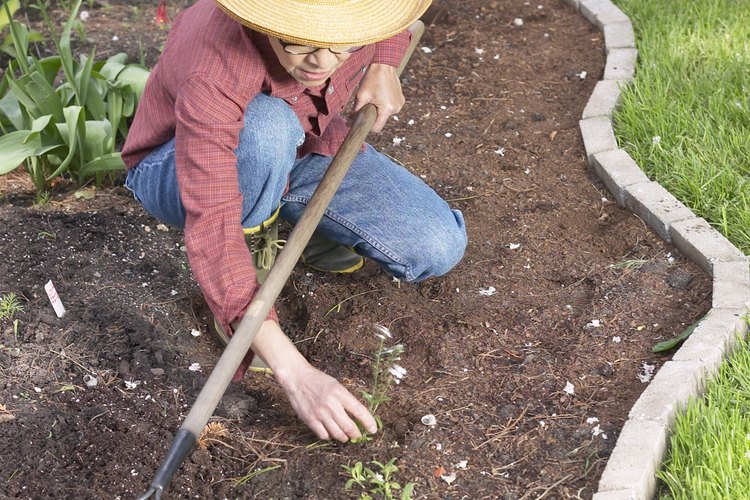 La jardinería es una actividad física ligera.