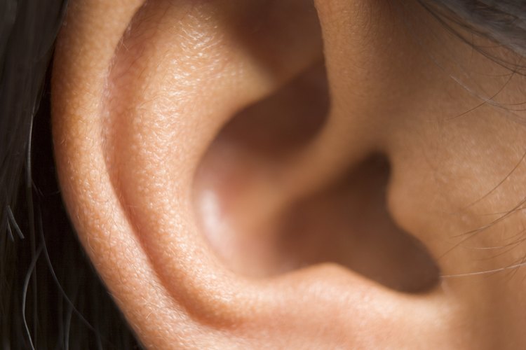 Oreja.