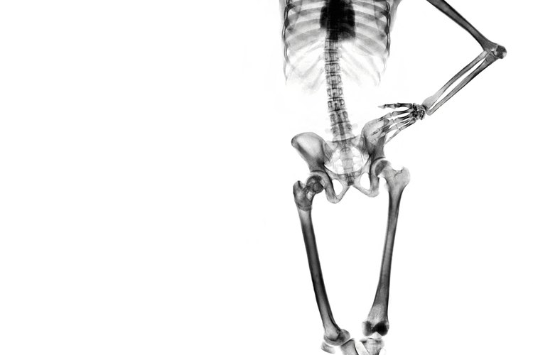 Tus huesos componen parte de tu masa corporal magra.