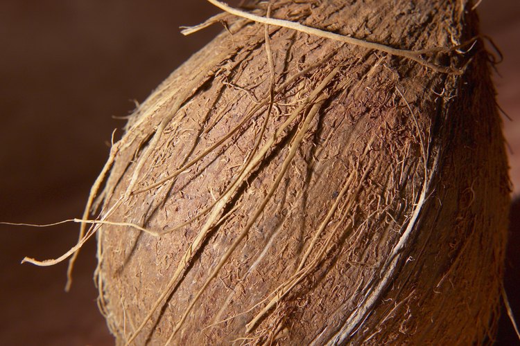 El aceite de coco es uno de los productos muchos productos naturales derivados del coco.