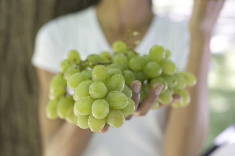 Mujer que sostiene un manojo de uvas verdes.
