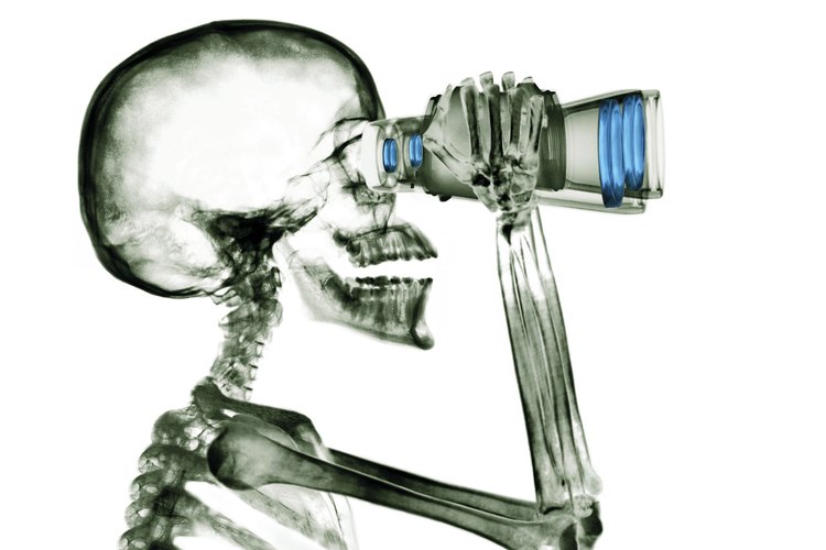 Las características físicas y fisiológicas son importantes en la comprensión de temas tales como la anatomía comparada.