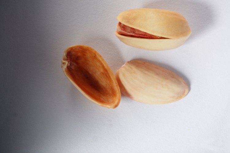 Los pistachos son un aperitivo saludable debido a su alto contenido de fibra y proteínas.